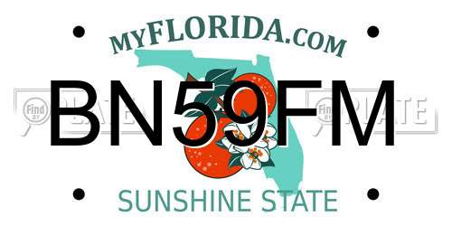BN59FM Florida License Plate
