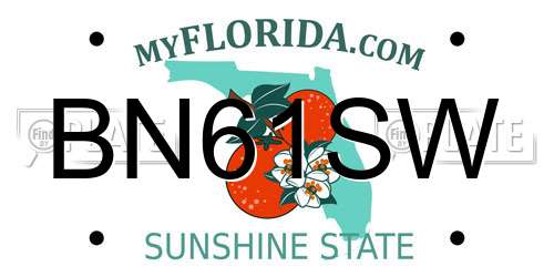 BN61SW Florida License Plate