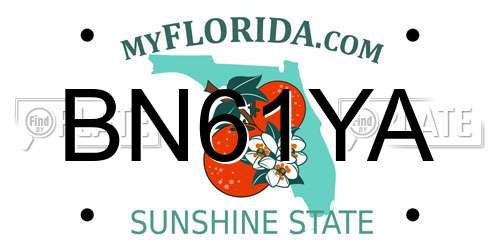BN61YA Florida License Plate