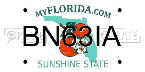 BN63IA Florida License Plate