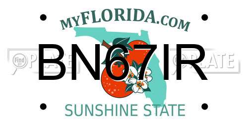 BN67IR Florida License Plate