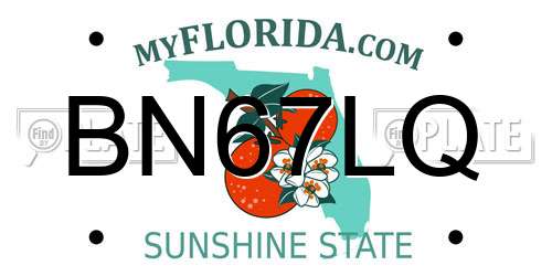 BN67LQ Florida License Plate