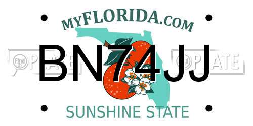 BN74JJ Florida License Plate