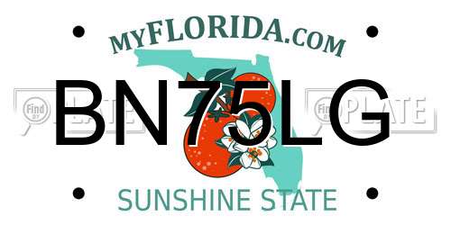 BN75LG Florida License Plate