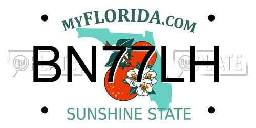 BN77LH Florida License Plate