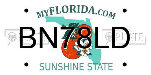 BN78LD Florida License Plate