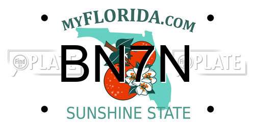 BN7N Florida License Plate
