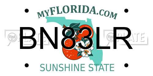 BN83LR Florida License Plate