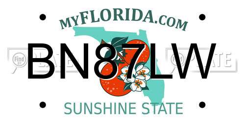 BN87LW Florida License Plate