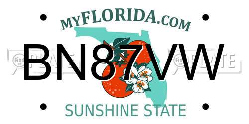 BN87VW Florida License Plate