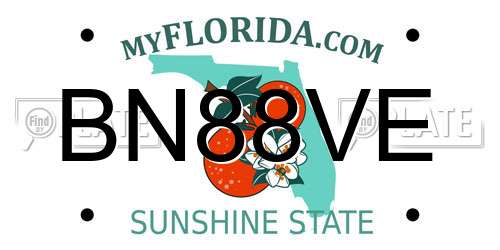 BN88VE Florida License Plate