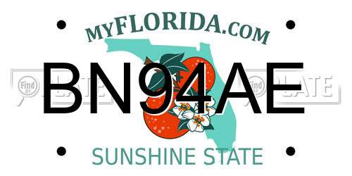 BN94AE Florida License Plate