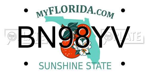 BN98YV Florida License Plate