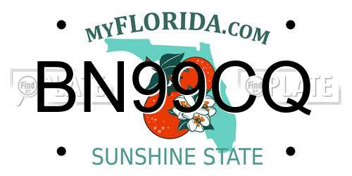 BN99CQ Florida License Plate