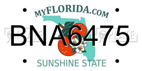 BNA6475 Florida License Plate