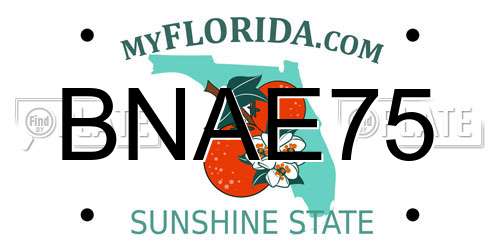 BNAE75 Florida License Plate