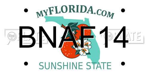 BNAF14 Florida License Plate
