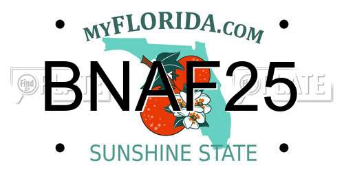 BNAF25 Florida License Plate