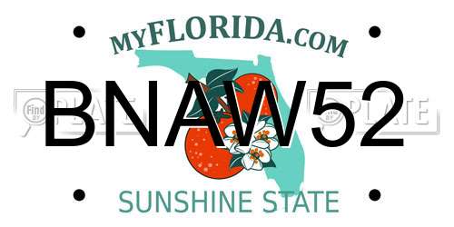 BNAW52 Florida License Plate