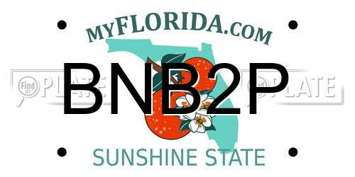 BNB2P Florida License Plate