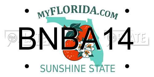 BNBA14 Florida License Plate