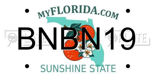 BNBN19 Florida License Plate