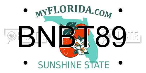 BNBT89 Florida License Plate