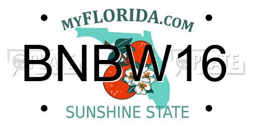 BNBW16 Florida License Plate