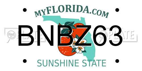 BNBZ63 Florida License Plate