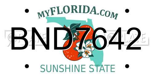 BND7642 Florida License Plate