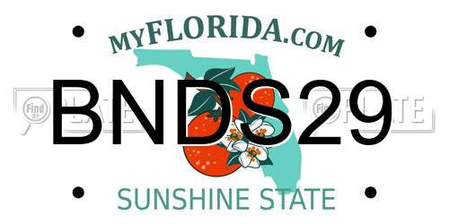 BNDS29 Florida License Plate