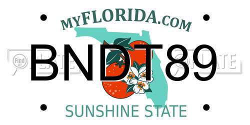 BNDT89 Florida License Plate
