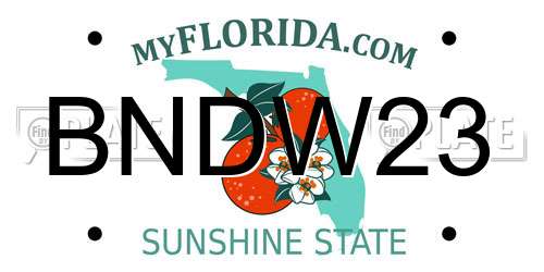 BNDW23 Florida License Plate