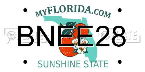 BNEE28 Florida License Plate
