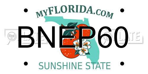 BNEP60 Florida License Plate