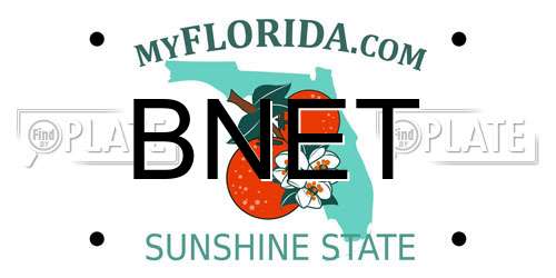BNET Florida License Plate