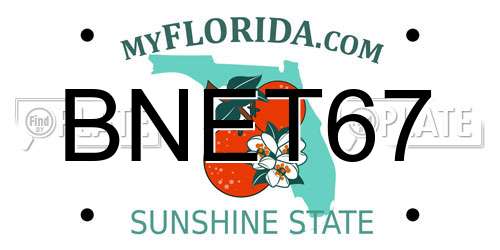 BNET67 Florida License Plate
