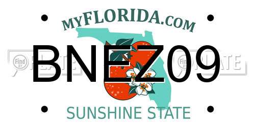 BNEZ09 Florida License Plate