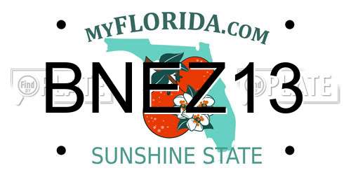 BNEZ13 Florida License Plate