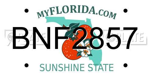 BNF2857 Florida License Plate