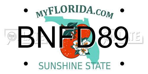 BNFD89 Florida License Plate