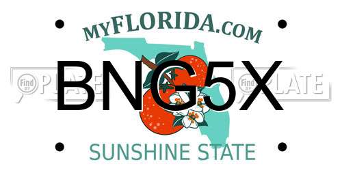 BNG5X Florida License Plate