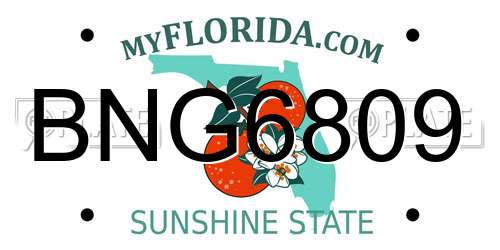 BNG6809 Florida License Plate