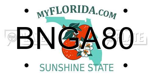 BNGA80 Florida License Plate