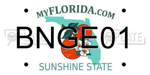 BNGE01 Florida License Plate