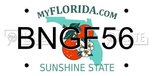 BNGF56 Florida License Plate