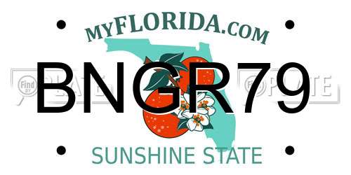 BNGR79 Florida License Plate