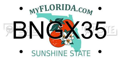BNGX35 Florida License Plate