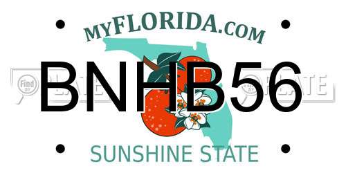 BNHB56 Florida License Plate