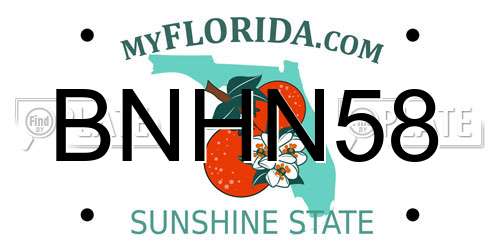 BNHN58 Florida License Plate